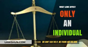 Personal Legal Boundaries: Laws That Impact Only the Individual Explained
