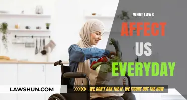 Everyday Legal Impact: Laws Shaping Our Daily Lives and Routines
