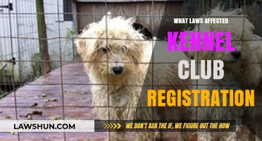Legal Changes Impacting Kennel Club Registration: Key Laws Explained