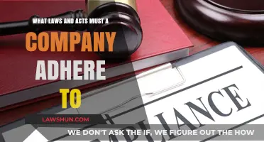 Navigating Compliance: Essential Laws and Acts for Businesses to Follow