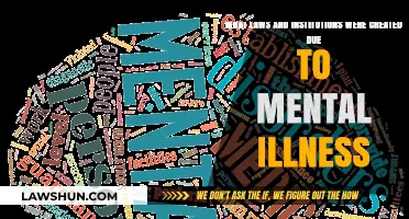 Mental Illness: Laws and Institutions Created