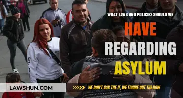 Crafting Humane Asylum Policies: Legal Frameworks for Protection and Dignity
