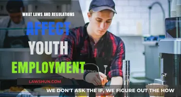 Youth Employment Laws: Understanding Regulations Impacting Young Workers