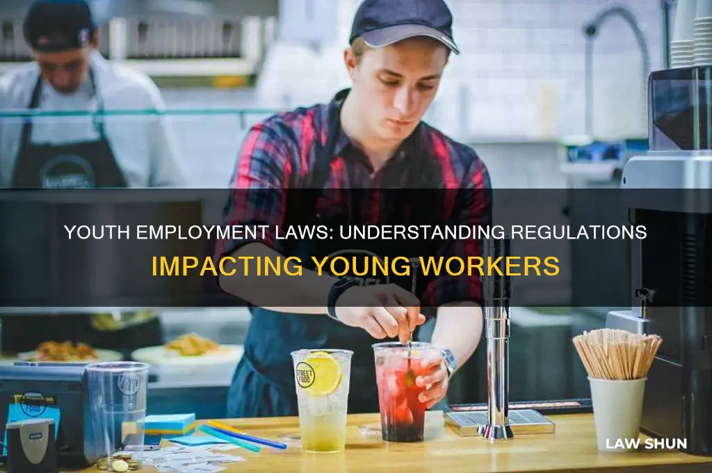 what laws and regulations affect youth employment