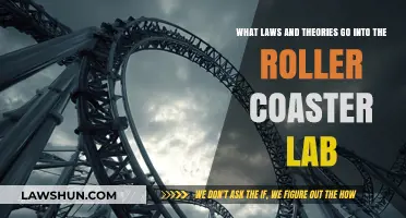 Exploring Physics Laws and Theories Behind Roller Coaster Lab Experiments