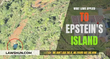 The Laws of Epstein's Island: Legal Loophole or Criminal Haven?