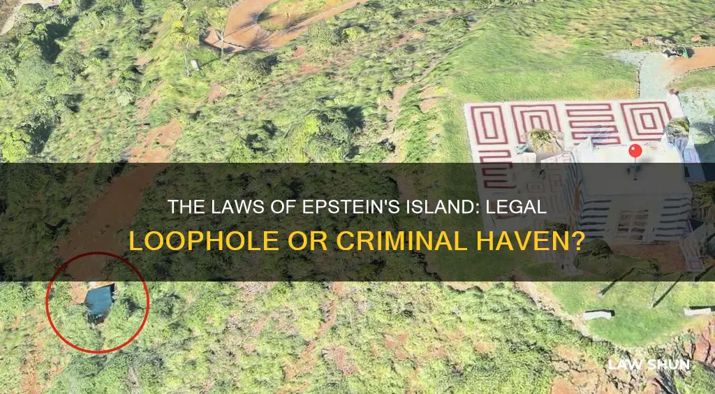 what laws applied to epstein