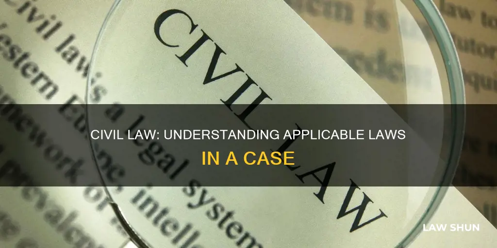 what laws apply in a civil case