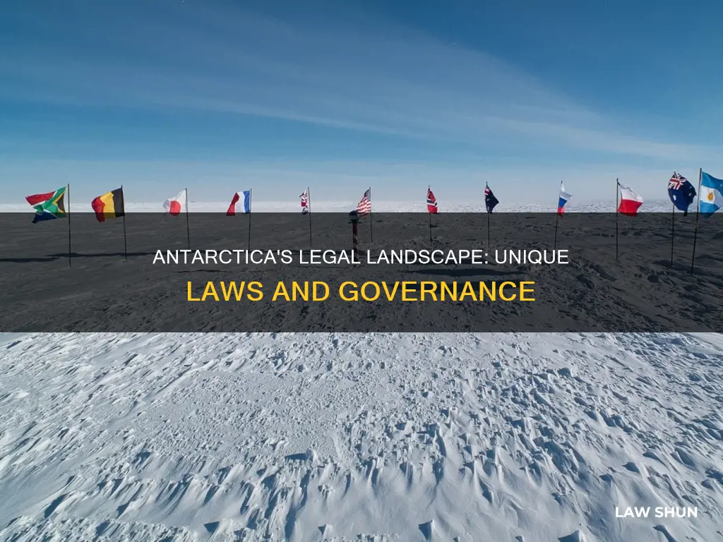 what laws apply in antarctica