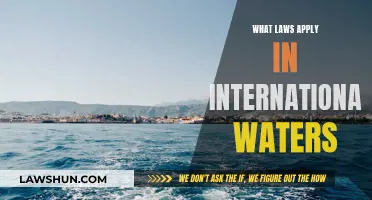 International Waters: Navigating Complex Legal Waters