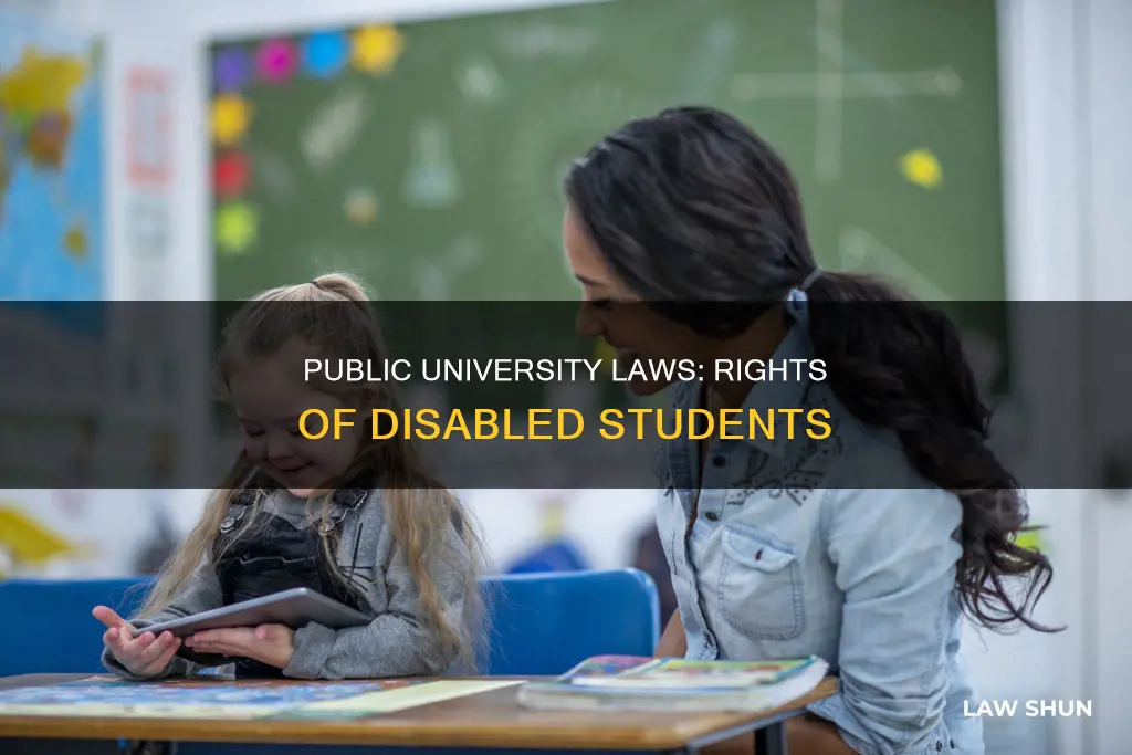 what laws apply to a public university deisabled students