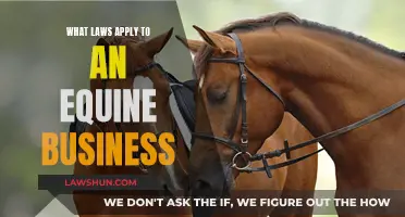 Equine Business: Understanding Legal Requirements and Obligations