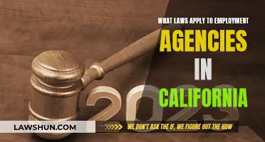 Employment Agency Laws: California's Essential Regulations