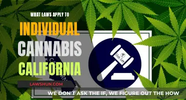 Cannabis Laws in California: What You Need to Know