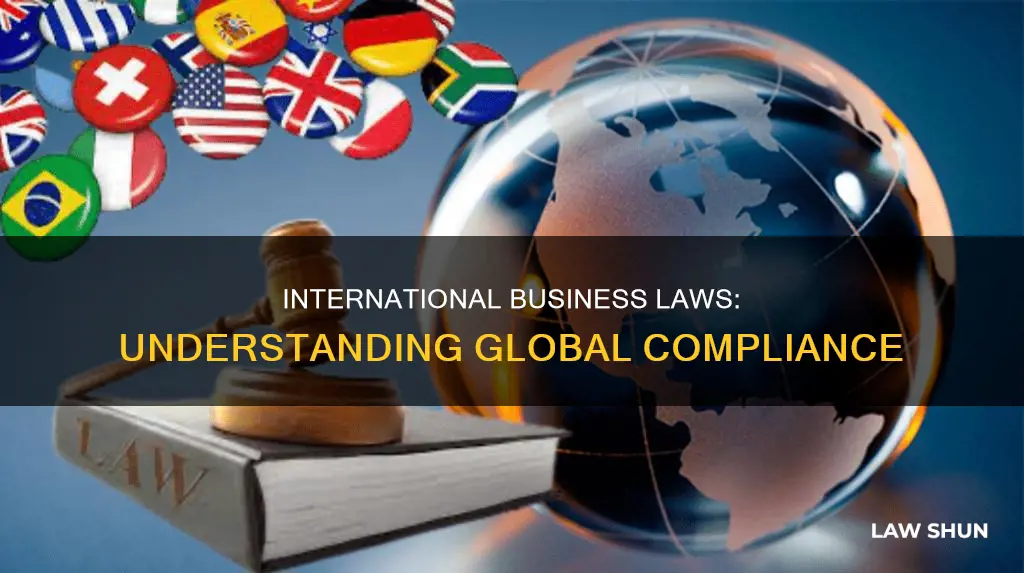 what laws apply to my international business