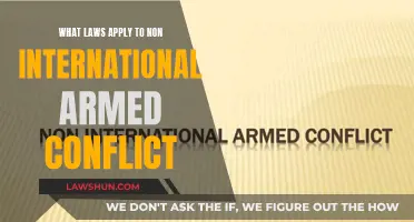 Laws Governing Non-International Armed Conflict: Understanding the Legal Framework