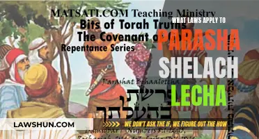 The Parasha Shelach Lecha: Understanding the Applicable Laws