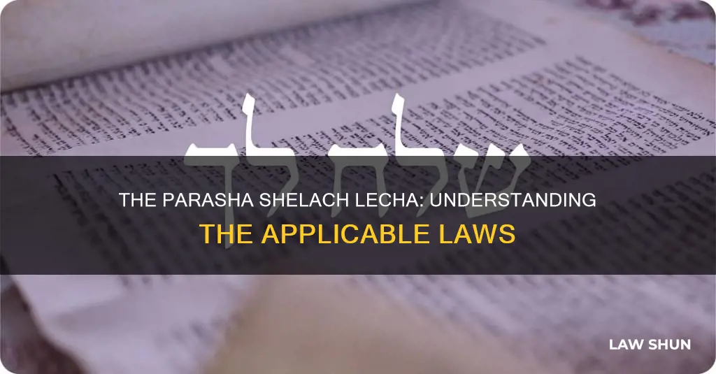 what laws apply to parasha shelach lecha