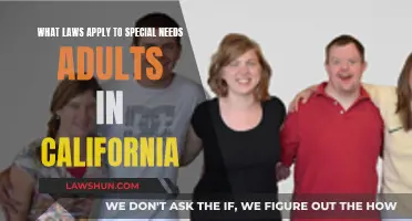 Special Needs Adults: Understanding California's Laws