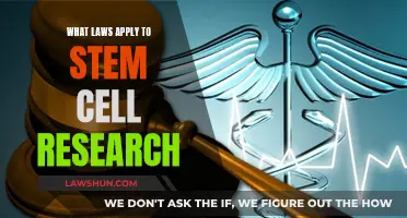 Stem Cell Research: Understanding Legal Boundaries