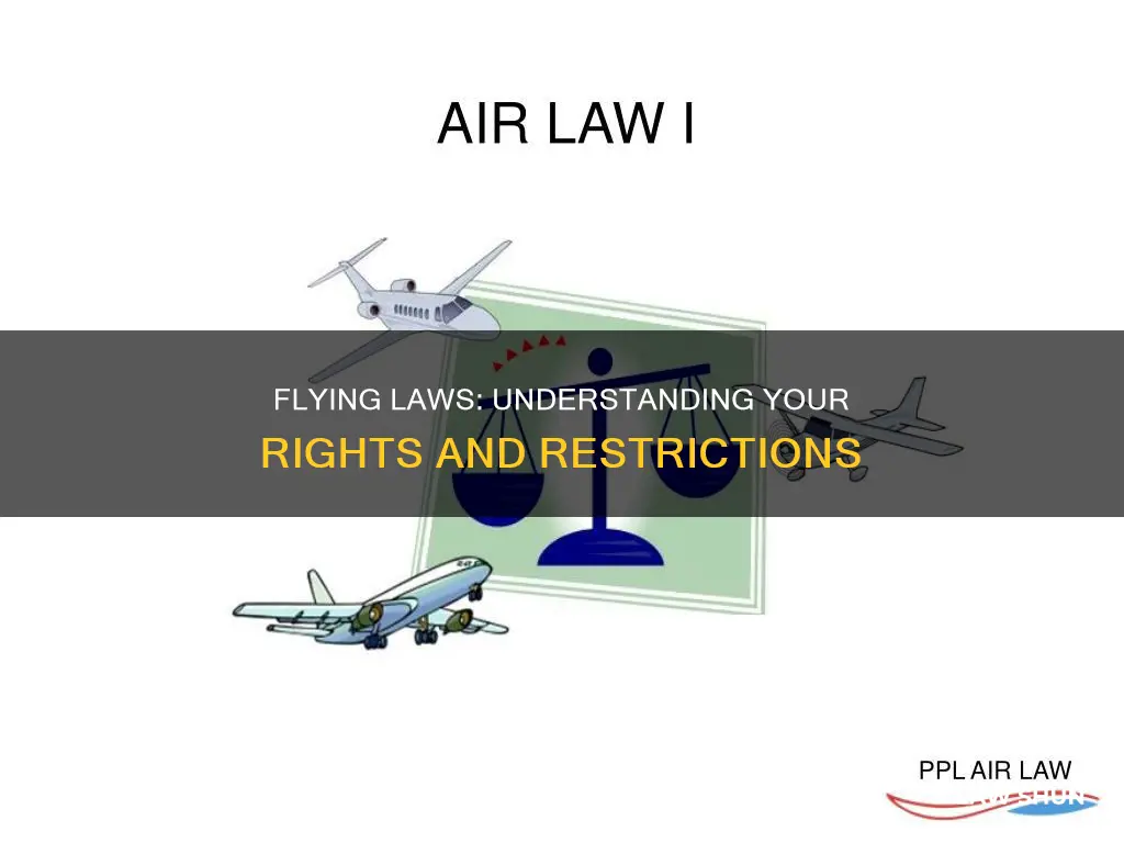 what laws apply when flying