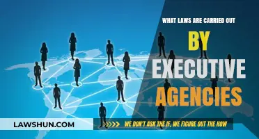 Executive Agencies: Implementing Laws and Shaping Public Policy