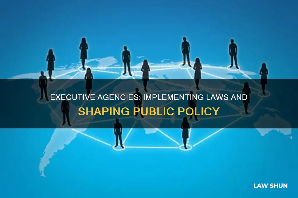 what laws are carried out by executive agencies