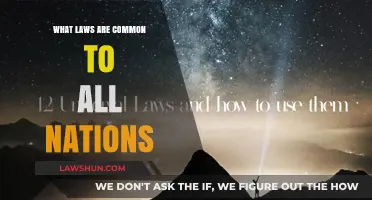 Universal Laws: What Nations Share