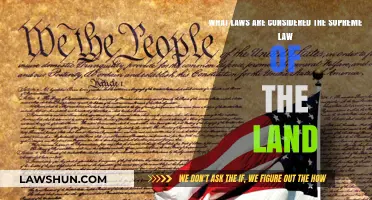 Understanding the Supreme Law: Constitution's Authority in Legal Systems