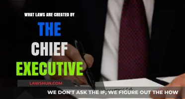 Executive Power: Laws Created by the Chief Executive