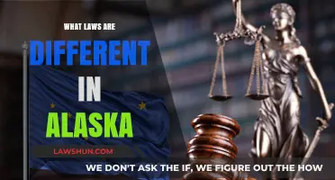 Unique Laws in Alaska: What Sets It Apart?