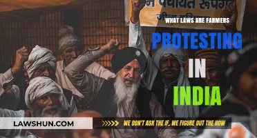 Farmers' Laws: Indian Farmers' Protest Explained