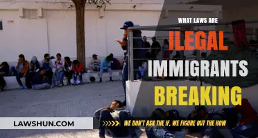 Uncovering the Laws: Illegal Immigrants' Violations