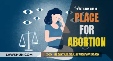 Abortion Laws: Understanding Your Rights and Restrictions