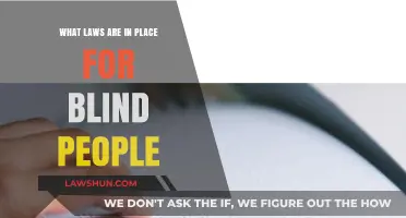 Navigating Legal Protections: Understanding Laws Supporting Blind Individuals' Rights