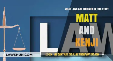 Legal Labyrinth: Unraveling the Laws in Matt and Kenji's Story