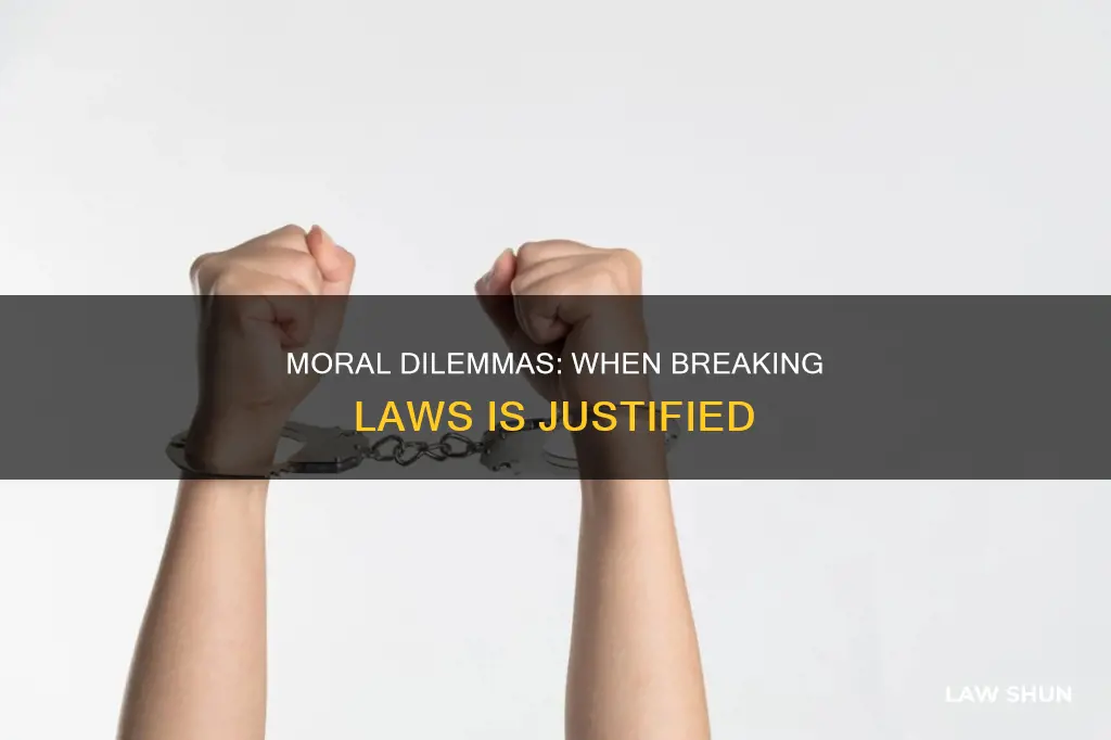 what laws are morally just to break