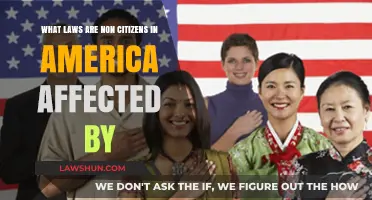 Non-Citizen Rights: Key U.S. Laws Impacting Immigrants and Visitors