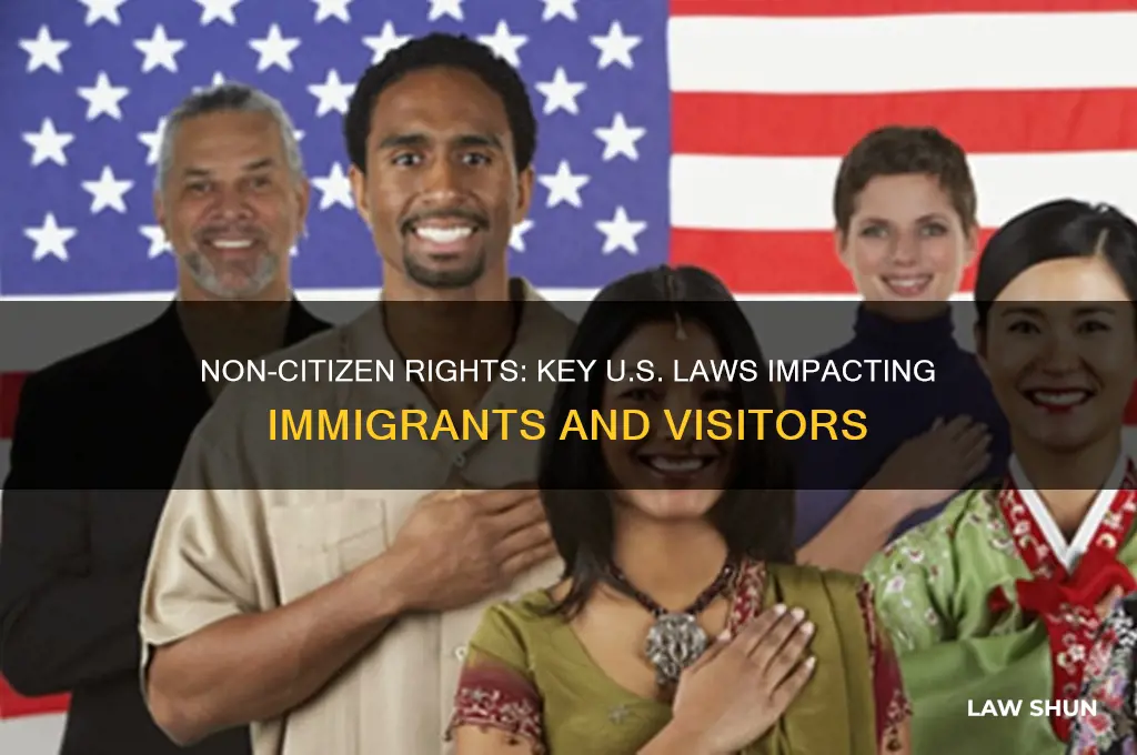 what laws are non citizens in america affected by