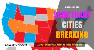 Sanctuary Cities: Unveiling the Legal Breaches and Their Impact