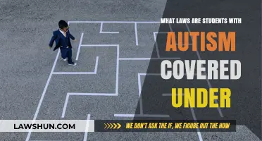 Understanding Legal Protections for Students with Autism in Education