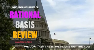 Understanding Rational Basis Review: Which Laws Face Minimal Scrutiny?