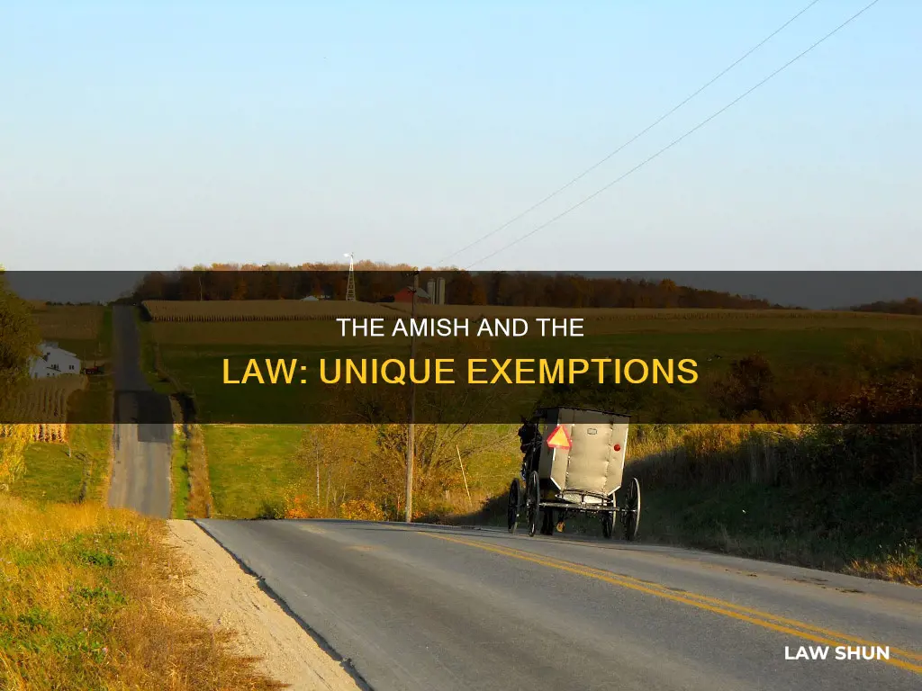 what laws are the amish allowed to break