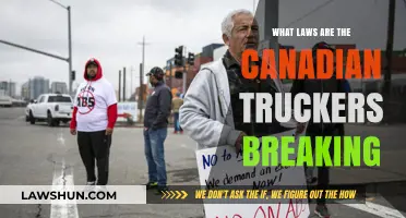 Canadian Truckers' Breaches: Uncovering the Hidden Legal Violations