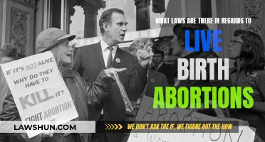 Live Birth Abortions: What Legal Boundaries Exist?