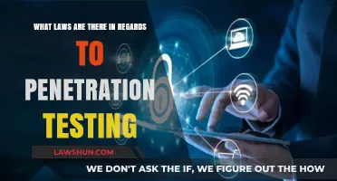 Penetration Testing Legalities: Understanding Laws and Compliance Requirements