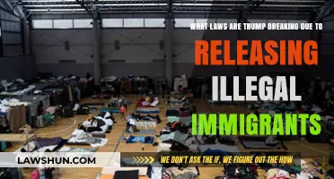 Trump's Unlawful Actions: Breaking Immigration Laws by Releasing Immigrants