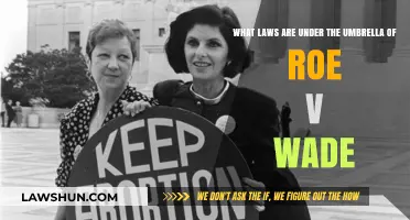 Understanding Roe v. Wade: Key Laws and Legal Protections Explained