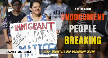 Unveiling the Misconceptions: Understanding the Legal Status of Undocumented Immigrants