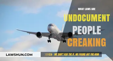 Breaking the Silence: Laws Undocumented Individuals Are Navigating Daily
